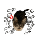 飛ぶぜ！きゃろん！（個別スタンプ：22）