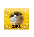 マルさんとシロちゃん（個別スタンプ：8）
