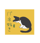 保護猫 琉未ちゃん（個別スタンプ：1）