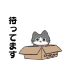 ねこに転生したおじさん。スタンプその2（個別スタンプ：10）