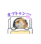 ぽっちゃんのスタンプ3（個別スタンプ：1）