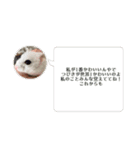 つばきたんのスタンプ（個別スタンプ：5）