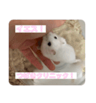 つばきたんのスタンプ（個別スタンプ：14）