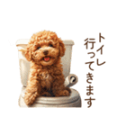 トイプードル子犬 | 今何してる？スタンプ（個別スタンプ：12）