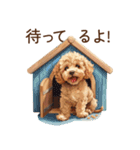 トイプードル子犬 | 今何してる？スタンプ（個別スタンプ：22）