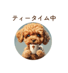 トイプードル子犬 | 今何してる？スタンプ（個別スタンプ：36）