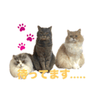 ねこ様スタンプ3（個別スタンプ：2）