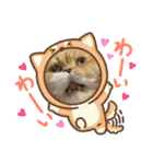 ねこ様スタンプ3（個別スタンプ：3）