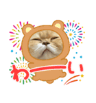 ねこ様スタンプ3（個別スタンプ：11）