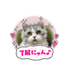 ねこ様スタンプ3（個別スタンプ：12）