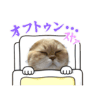 ねこ様スタンプ3（個別スタンプ：24）