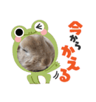 おてんばライオンうさぎのてんちゃんです（個別スタンプ：21）