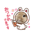おてんばライオンうさぎのてんちゃんです（個別スタンプ：26）