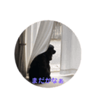 エヴァんぬのスタンプ（個別スタンプ：4）