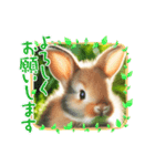 rabbitうさぎ:（個別スタンプ：12）