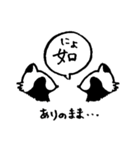 禅たぬき（一語）（個別スタンプ：26）