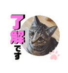 チャビとハナと時々マロン（個別スタンプ：15）