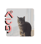 チャビとハナと時々マロン（個別スタンプ：26）