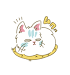 猫のきぬくん 毎日ちょっとずつ幸せ（個別スタンプ：23）