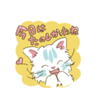 猫のきぬくん 毎日ちょっとずつ幸せ（個別スタンプ：39）