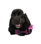 エヴァのすたんぷ2（個別スタンプ：6）
