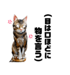 リアル猫ちゃんの丁寧な言葉にゃん[敬語]（個別スタンプ：18）