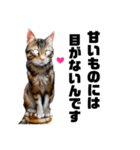 リアル猫ちゃんの丁寧な言葉にゃん[敬語]（個別スタンプ：30）