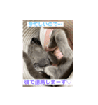 サラちゃんPart③（個別スタンプ：5）