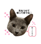 サラちゃんPart③（個別スタンプ：6）