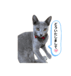 サラちゃんPart③（個別スタンプ：8）