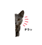 サラちゃんPart③（個別スタンプ：9）