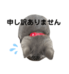 サラちゃんPart③（個別スタンプ：15）
