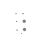 おしゃカワ点字（ひらがなマ〜ワ行、濁点）（個別スタンプ：38）