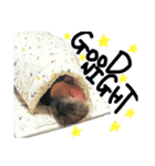 怜吾だお（個別スタンプ：8）