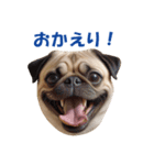 元気にはしゃぐワンちゃんたち（個別スタンプ：9）