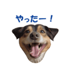 元気にはしゃぐワンちゃんたち（個別スタンプ：15）
