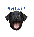 元気にはしゃぐワンちゃんたち（個別スタンプ：17）