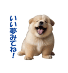 元気にはしゃぐワンちゃんたち（個別スタンプ：29）