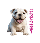 元気にはしゃぐワンちゃんたち（個別スタンプ：30）