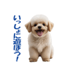元気にはしゃぐワンちゃんたち（個別スタンプ：31）