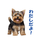 元気にはしゃぐワンちゃんたち（個別スタンプ：33）