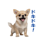 元気にはしゃぐワンちゃんたち（個別スタンプ：35）