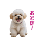 元気にはしゃぐワンちゃんたち（個別スタンプ：36）