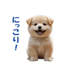 元気にはしゃぐワンちゃんたち（個別スタンプ：37）