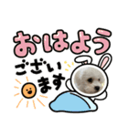 わんこ 生活（個別スタンプ：3）