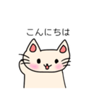 毎日使える！可愛いねこスタンプ（個別スタンプ：23）