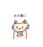 毎日使える！可愛いねこスタンプ（個別スタンプ：38）