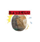 AMUくんLINEスタンプ2（個別スタンプ：6）