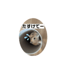 AMUくんLINEスタンプ2（個別スタンプ：8）