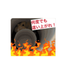 AMUくんLINEスタンプ2（個別スタンプ：15）